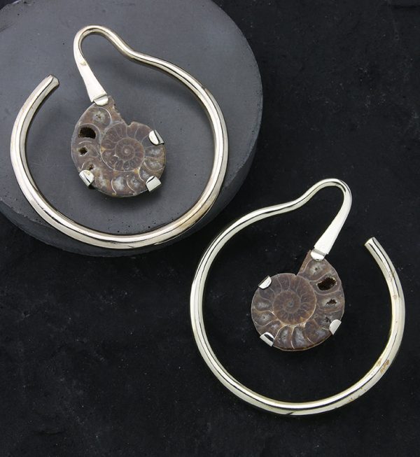 Prong Ammonite Fossil White Brass Ear Weights Hot on Sale - Image 2