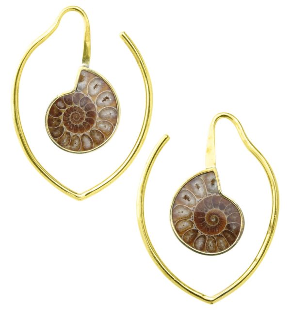 Drop Ammonite Fossil Teardrop Ear Weights Fashion