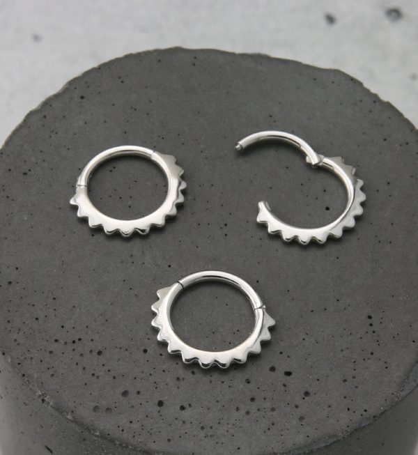 Spine Hinged Segment Ring Online now - Image 2