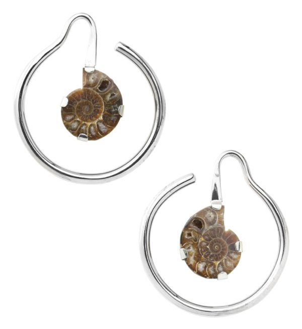 Prong Ammonite Fossil White Brass Ear Weights Hot on Sale