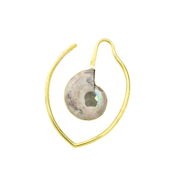 Drop Ammonite Fossil Teardrop Ear Weights Fashion - Image 3