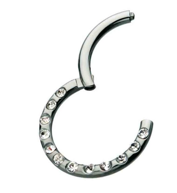 16G Titanium Hinged Frontal CZ Segment Ring Supply - Image 2