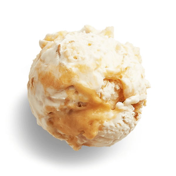 The Salty Donut Guava and Cheese Online now - Image 4