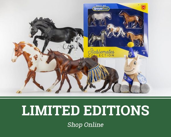 Online Traditional Ticket | BreyerFest 2025 Discount - Image 4