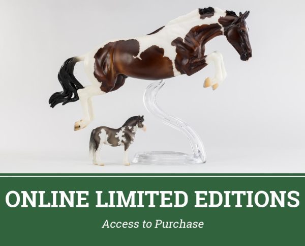 Online Traditional Ticket | BreyerFest 2025 Discount - Image 5