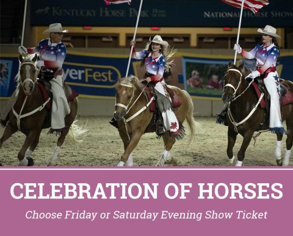 All-Access Ticket | BreyerFest 2025 Online - Image 3