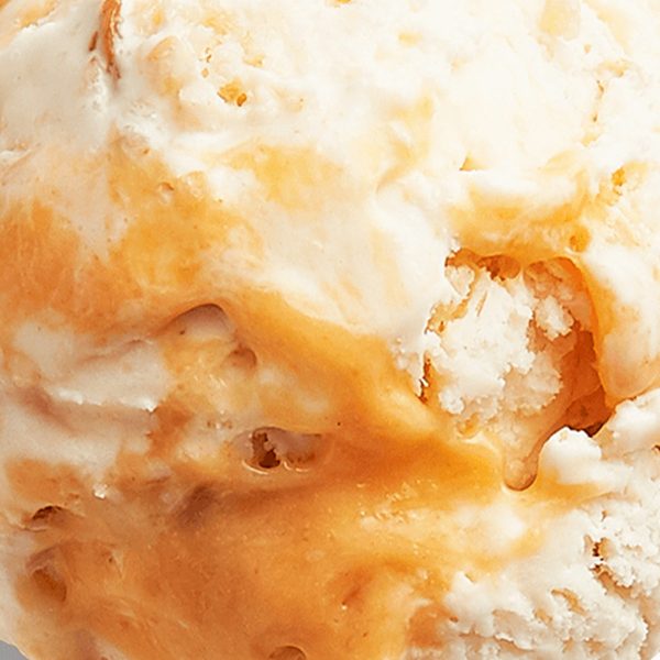 The Salty Donut Guava and Cheese Online now