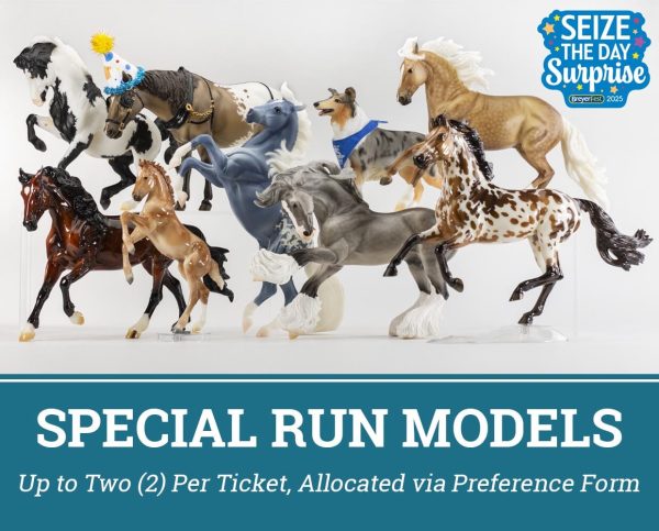 All-Access Ticket | BreyerFest 2025 Online - Image 4