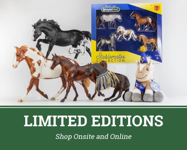 General Admission Ticket | BreyerFest 2025 on Sale - Image 4